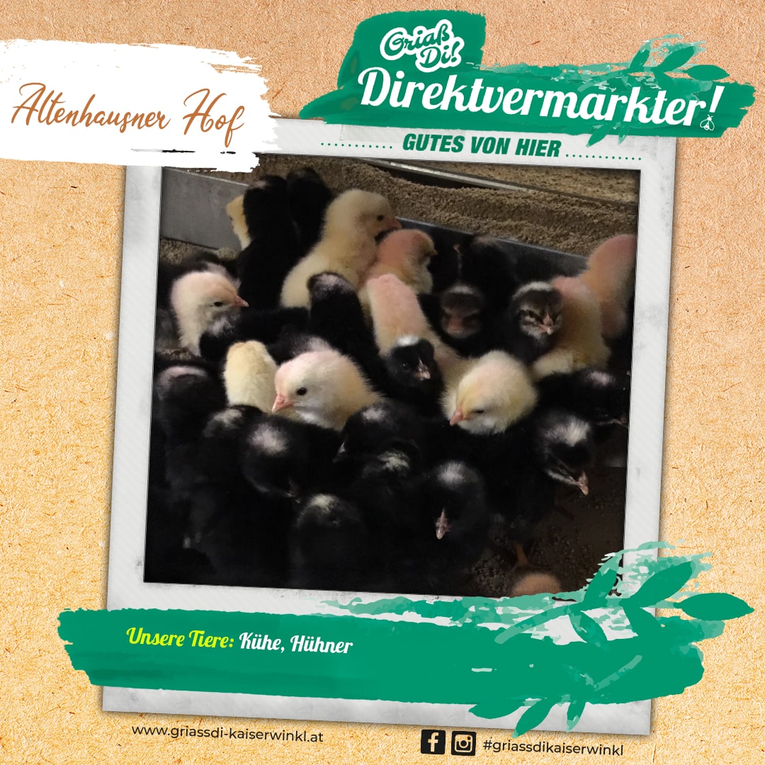 Direktvermarkter-Fotostory-Altenhausner-5-Unsere-Tiere-min