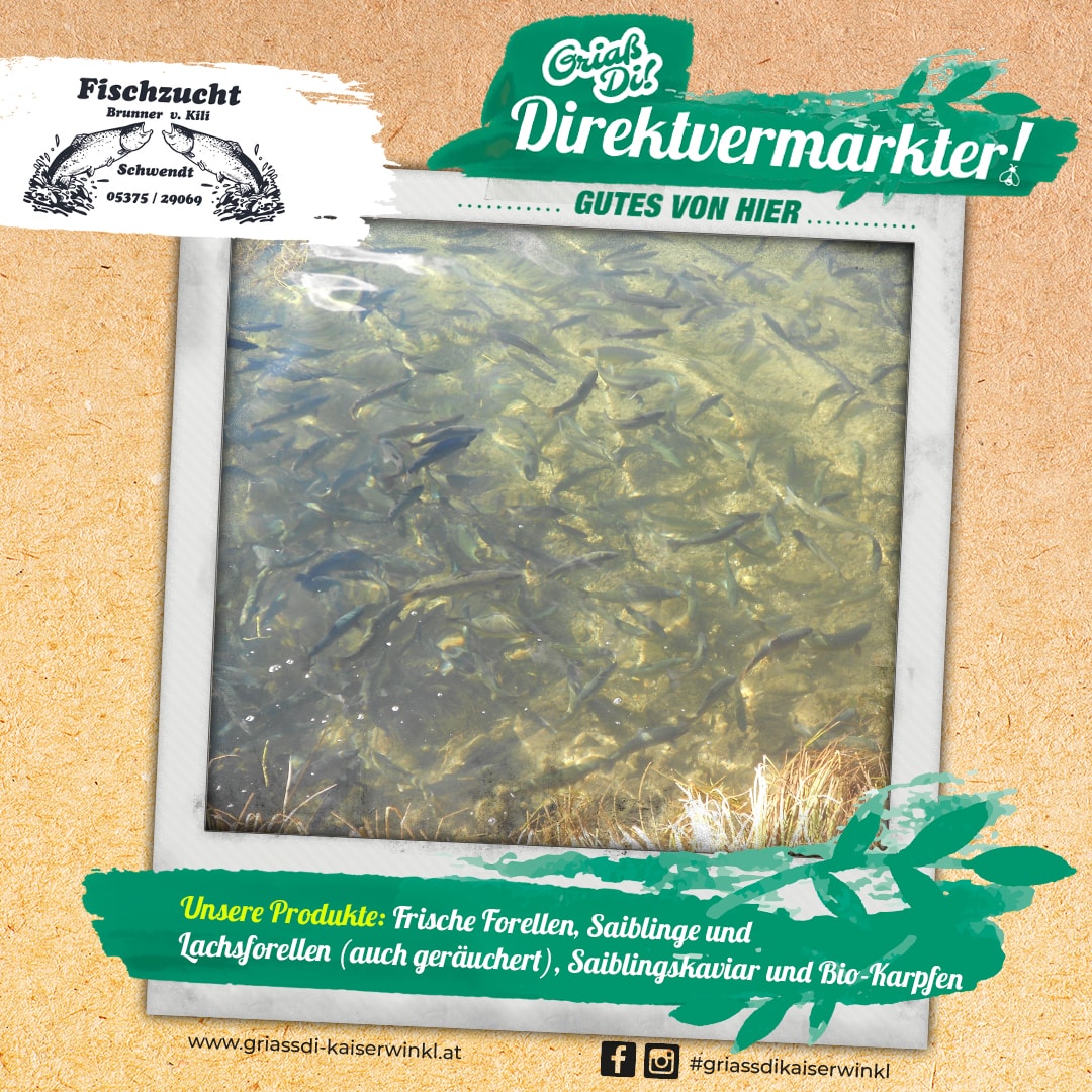 Direktvermarkter-Fotostory-Brunner-6-Unsere-Produkte-min