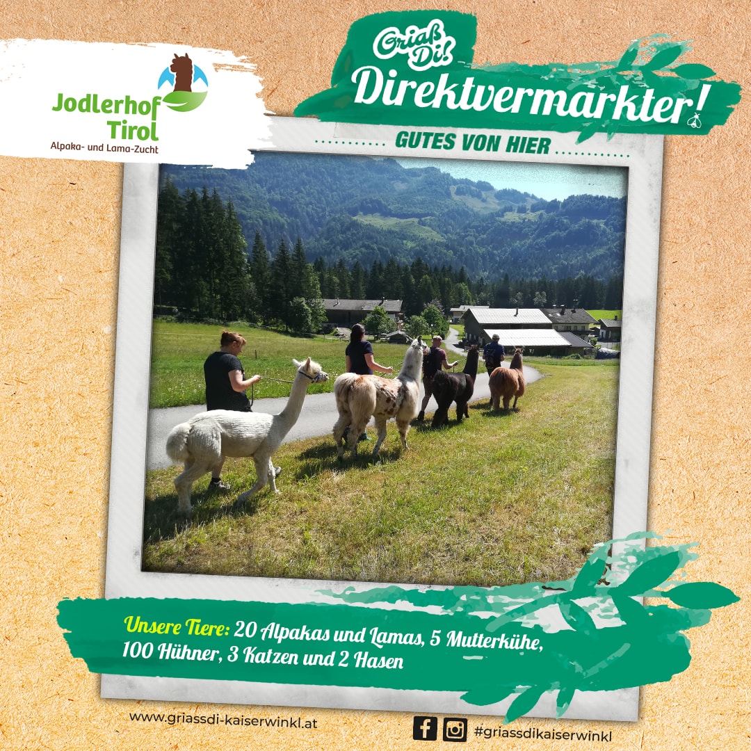 Direktvermarkter-Fotostory-Jodlerhof-3-Unsere-Tiere-min