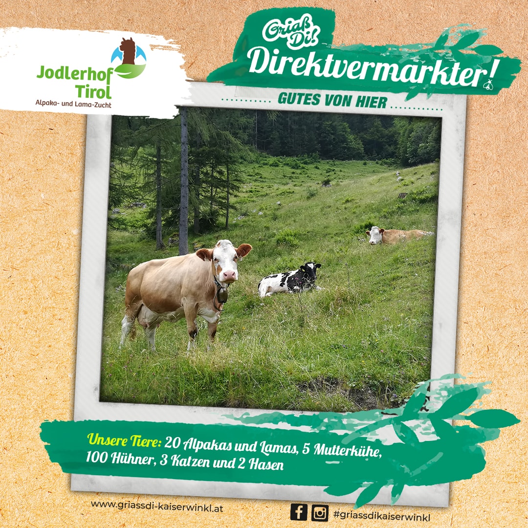 Direktvermarkter-Fotostory-Jodlerhof-4-Unsere-Tiere-min